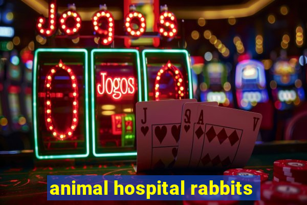 animal hospital rabbits